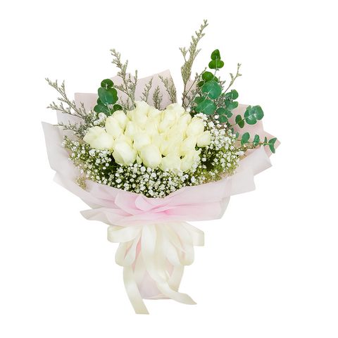 Nova Flora